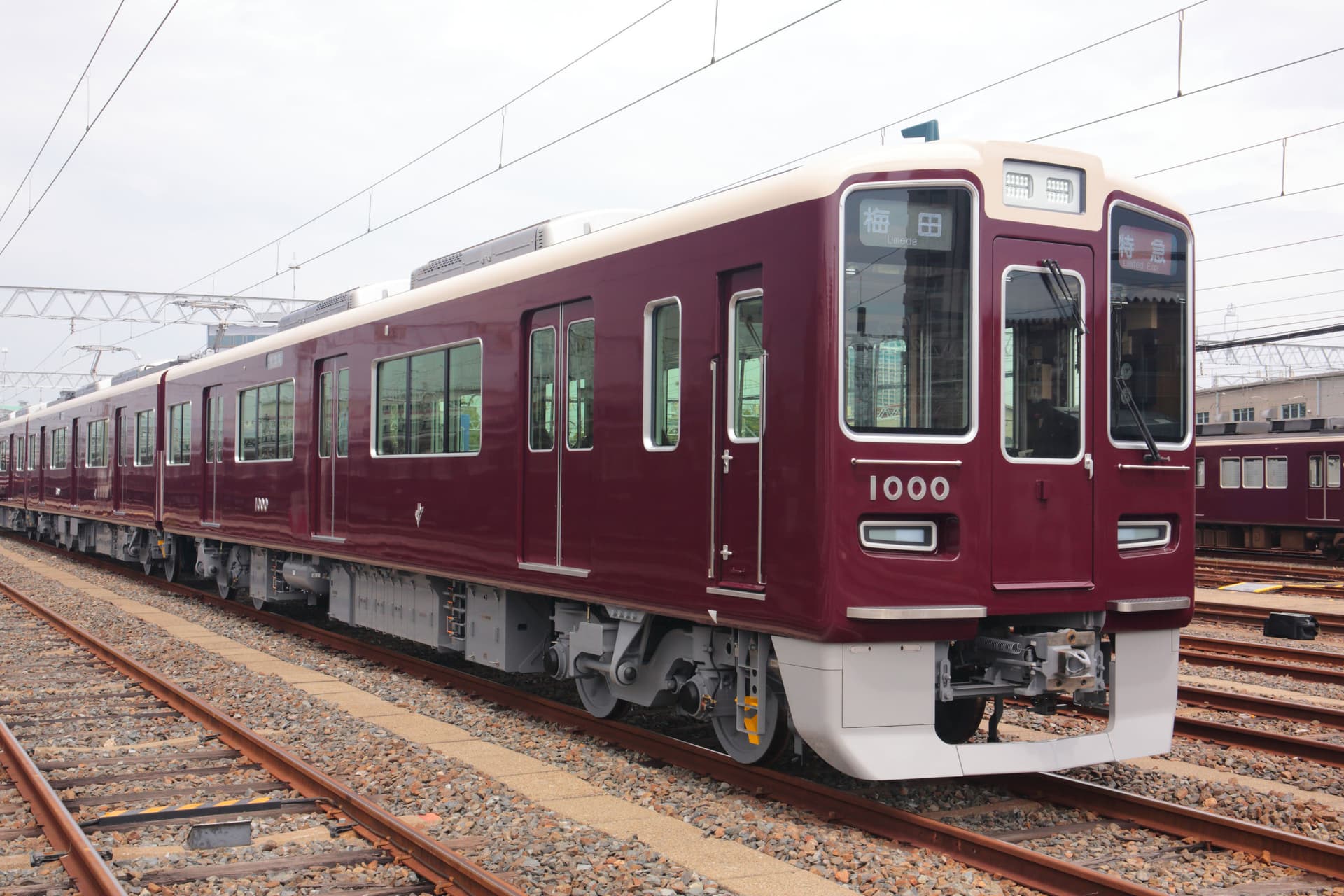 Kansai Railway Pass Lite - image 4